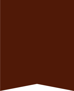 Hardwood Flooring, Vinyl Flooring, Refinishing, Flooring Contractor, floor cleaning, hardwwod floor repairs, flooing installation, Pre-Installed Flooring, Vinyl Boards, Hardwood, 