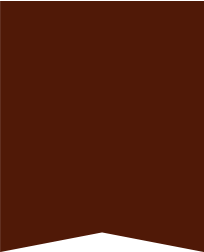 Hardwood Flooring, Vinyl Flooring, Refinishing, Flooring Contractor, floor cleaning, hardwwod floor repairs, flooing installation, Pre-Installed Flooring, Vinyl Boards, Hardwood, 